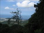 Brasil 2006-04 003